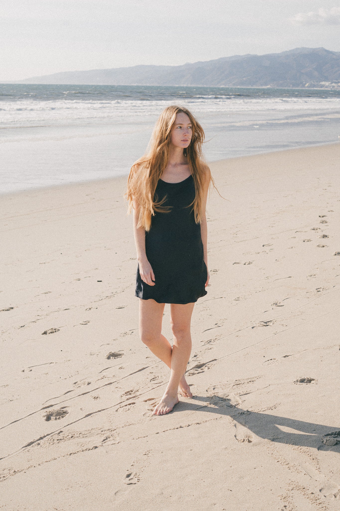 Hollywood Dress - Navy Blue / S Hollywood Dress - Navy Blue / S